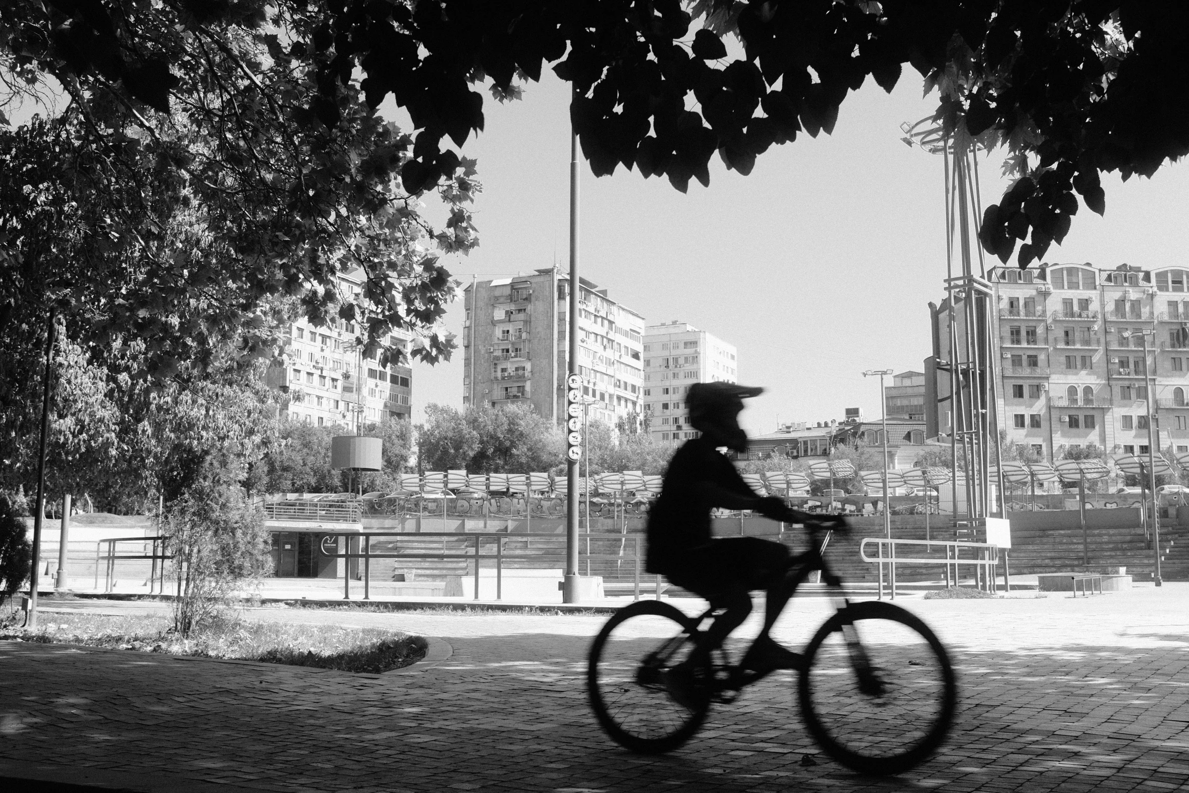 A cyclist silhouetted beneath leafy branches beside a sunlit square